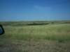 _0787_small.jpg