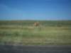 _0788_small.jpg