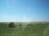 _0794_small.jpg