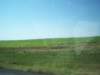 _0795_small.jpg
