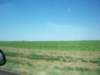 _0797_small.jpg