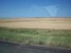 _0801_small.jpg