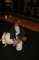 grace074_small.jpg