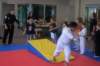 _5077_00_small.jpg
