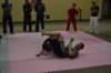seminar257_small.jpg